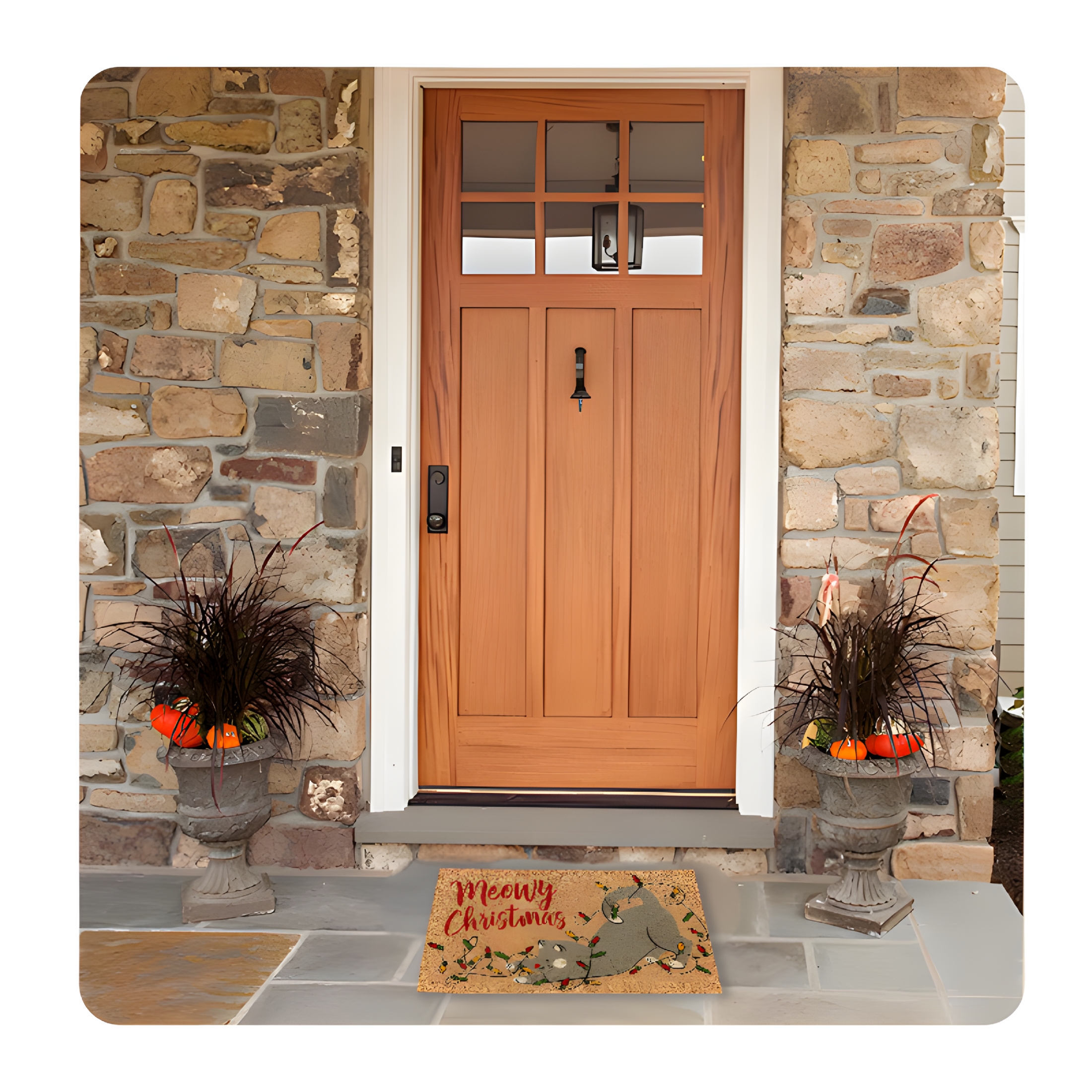 DERONA Doormat Outdoor Entrance,19.69"x31.50"Christmas Gray Dog Pattern