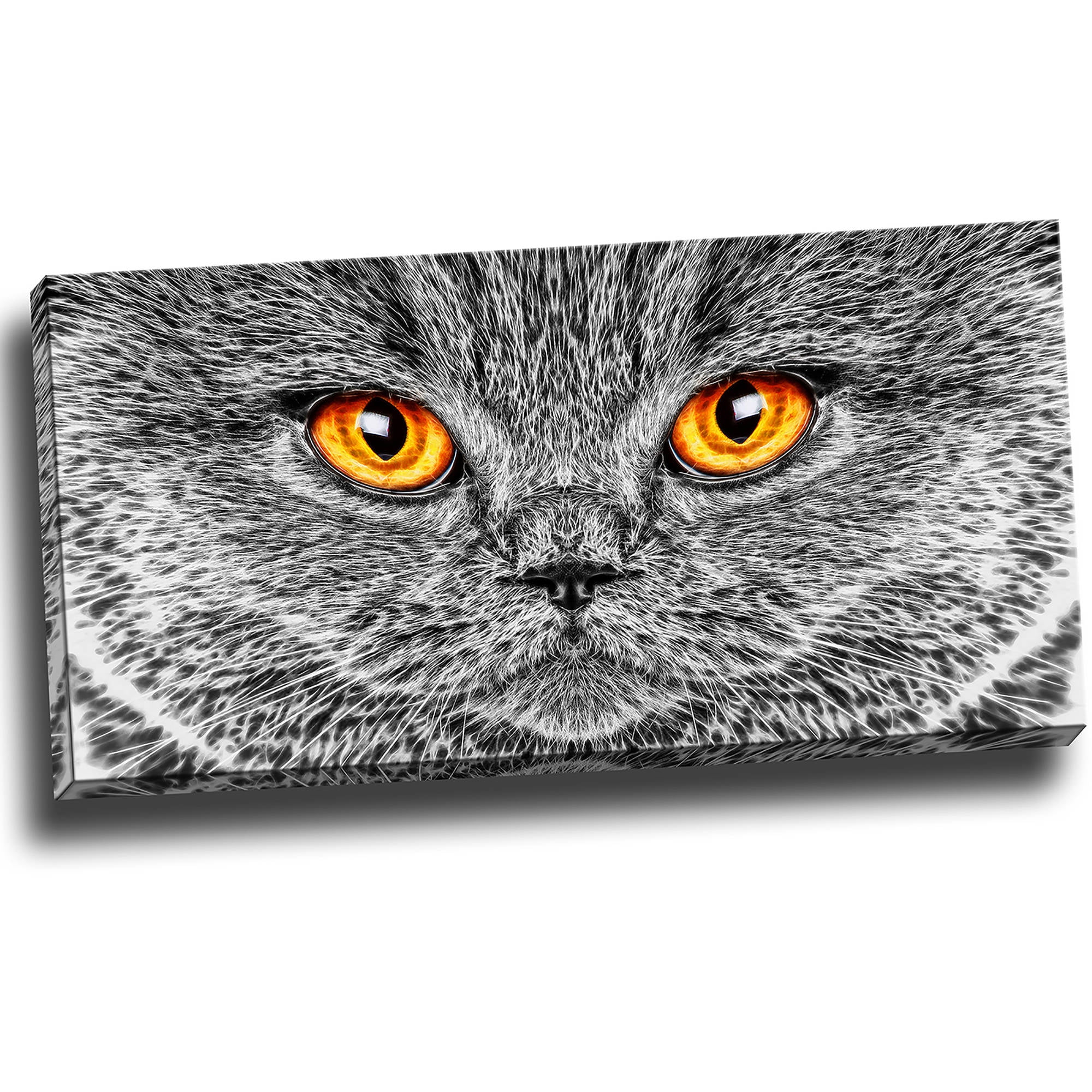 DESIGN ART Grey Cat Animal Art Canvas (Multiple Sizes) 32 in. wide x 16 in. high