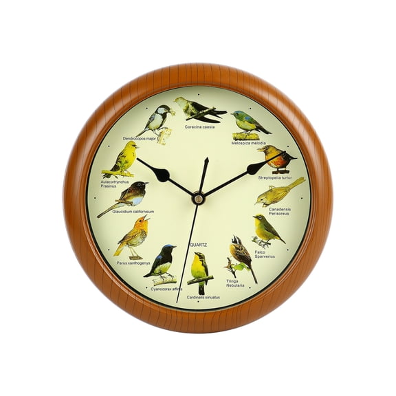 DESIGNICE 10" Modern Singing Bird Wall Clock Indoor Wall Clock,Easy Installation