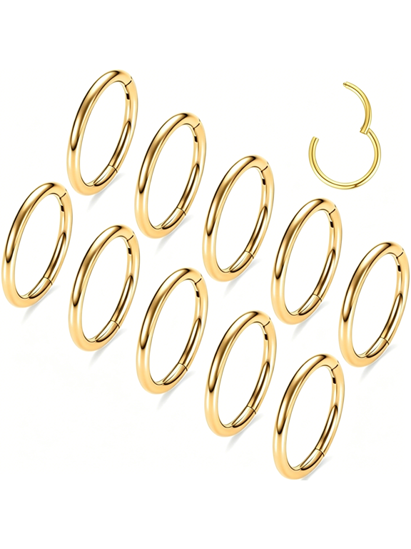 16G 18G 20G Surgical Steel Nose Septum Rings Hoops-Stainless Steel Hinged Clicker Segment Nose Rings Hoop Helix Cartilage Daith Tragus Sleeper Earrings,Ear Plugs Tunnels Gauges