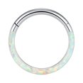 thumbnail image 1 of DESIGNICE 2026 New 16G Opal Septum Rings Hoop Nose Ring Lip Rings Stainless Steel Hinged Segment Ring Seamless Ring Cartilage Earrings Hoop Tragus Septum Piercing Jewelry Studs Nose Piercing 18 Gauge, 1 of 4