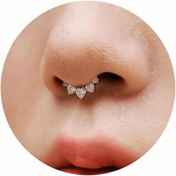 DESIGNICE 16G Titanium Heart Shape CZ Septum Rings Crystal Nose Ring Body Jewelry Daith Earrings Hinged Segment Helix Clicker Seamless Ring Hypoallergenic Jewelry for Her