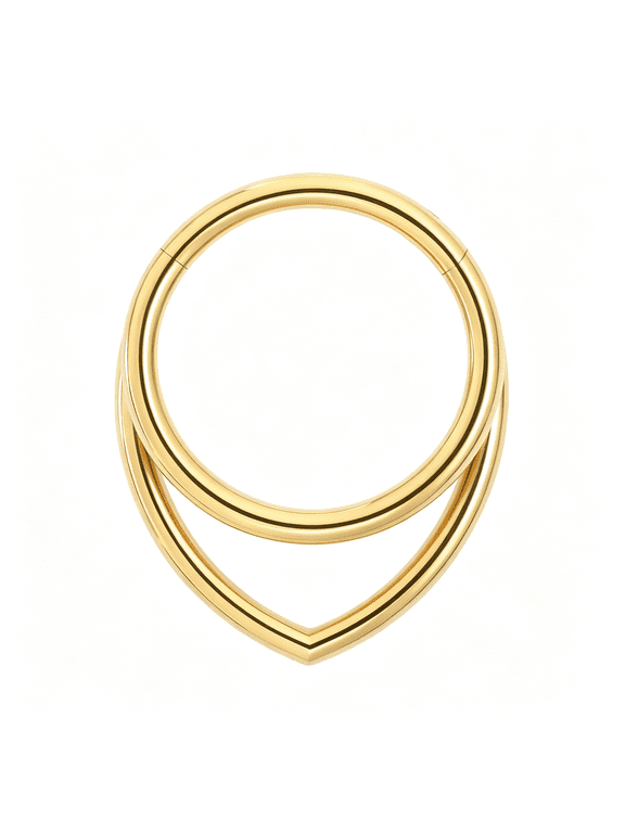 16G Titanium Septum Rings Double Septum Jewelry Daith Piercing Jewelry Silver Gold Hinged Segment Clicker Piercing Jewelry 8 Mm 10 Mm Seamless Ring Hypoallergenic Jewellery for Her