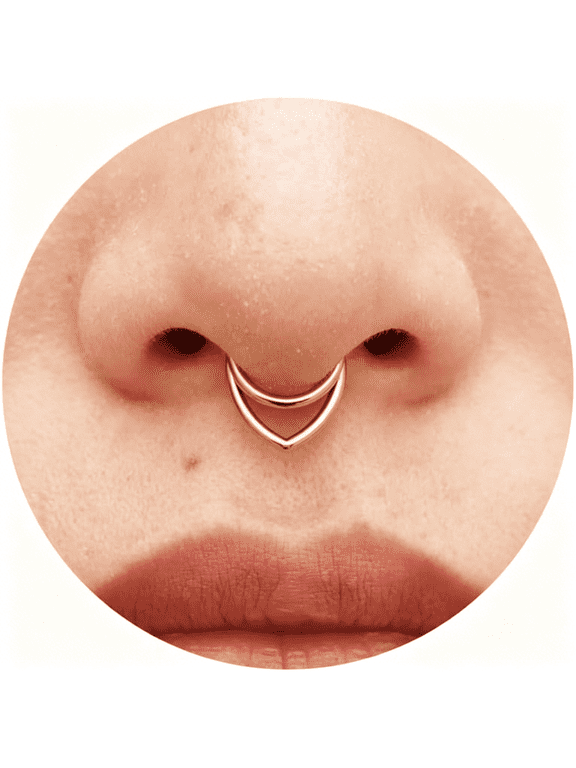 16G Titanium Septum Rings Double Septum Jewelry Daith Piercing Jewelry Silver Gold Hinged Segment Clicker Piercing Jewelry 10 Mm Seamless Ring Hypoallergenic Jewellery for Her