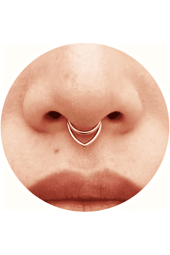 16G Titanium Septum Rings Double Septum Jewelry Daith Piercing Jewelry Silver Gold Hinged Segment Clicker Piercing Jewelry 10 Mm Seamless Ring Hypoallergenic Jewellery for Her
