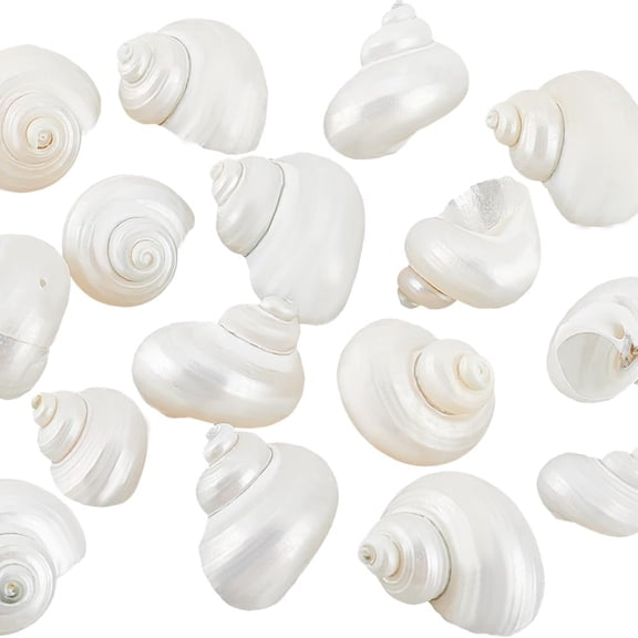 DESIGNICE 16Pcs Natural Spiral Shell Beads,0.8~1.1" Mouth Turbo Seashells Undrilled Hermit Crab Shells No Hole Shells for Home Party Wedding Decor Fish Tank Vase Filler,White
