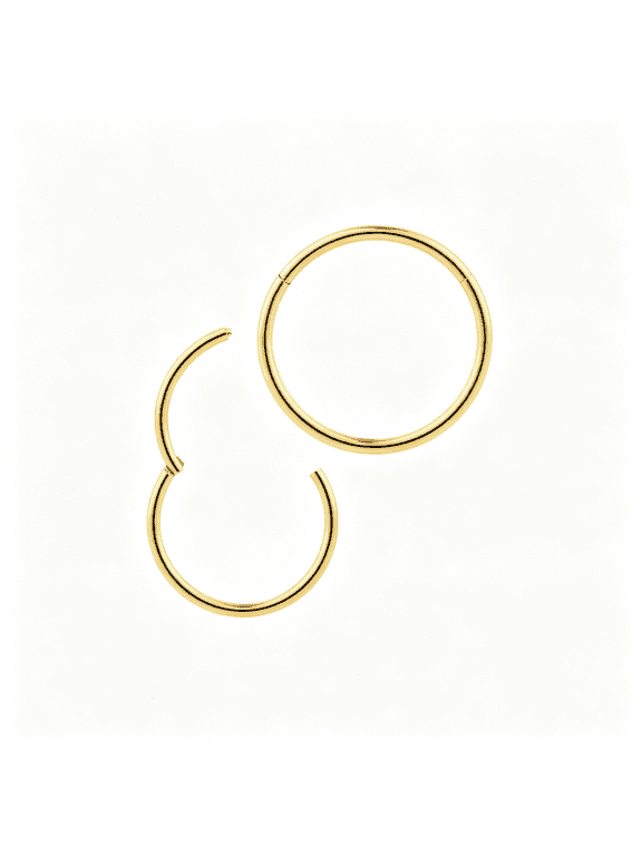 1Pc G23 Titanium Hinged Segment Ring Hoop \U2013 Implant Grade Nickel Free Septum Nose Lip Cartilage Tragus Earring Body Piercing Jewelry,20G-6G
