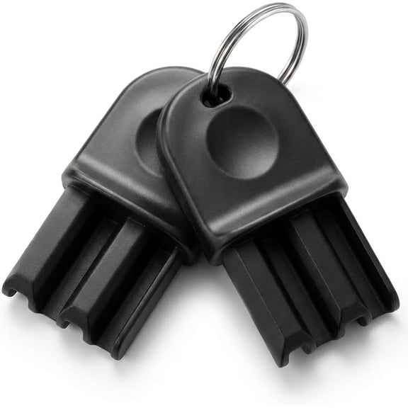 DESIGNICE 2-Pack Mouse Station Keys with Keychain,Compatible with Evo-Express,Ambush,Circuit,Landscape&Edge-Tunnel-Mouse Boxes Bait Station Key