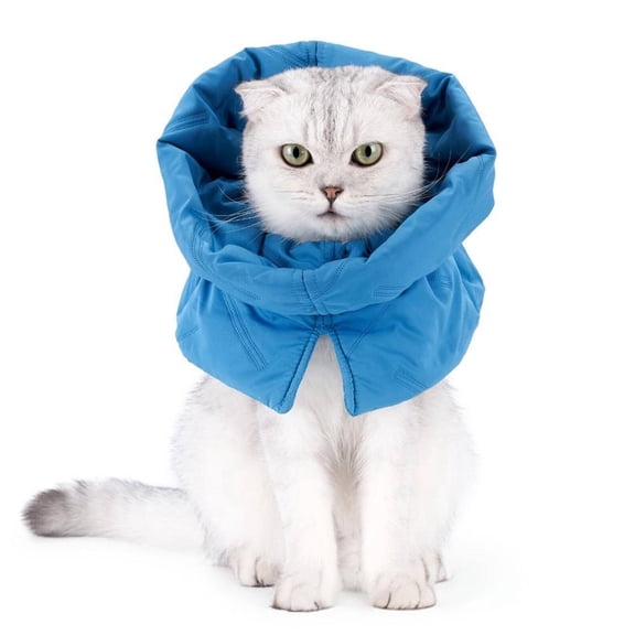 DESIGNICE 2026 New Dog Cone Lightweight Design Dog Cone Collar Multifunctional Recovery Protection Suitable for Various Pets Soft Dog Cone for Recovery Injury Post-Surgery Xs