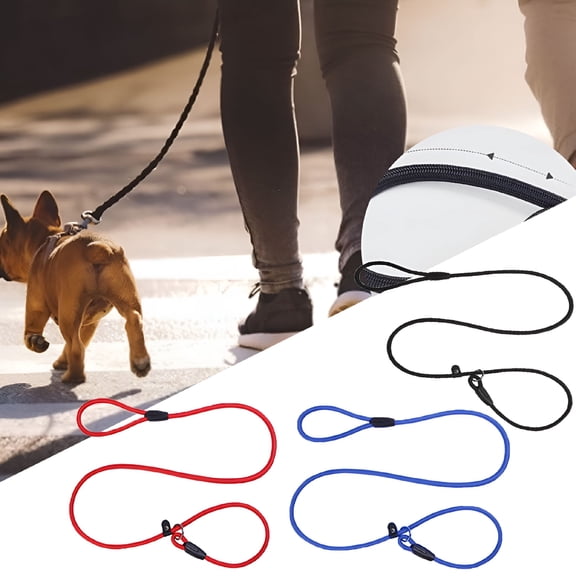 DESIGNICE 2026 New Dog Leash Slip Rope Lead Leash, Dog Traction Rope Adjustable Dog Walking No Pull Training Lead Leashes, Strong Braided Rope for Dogs