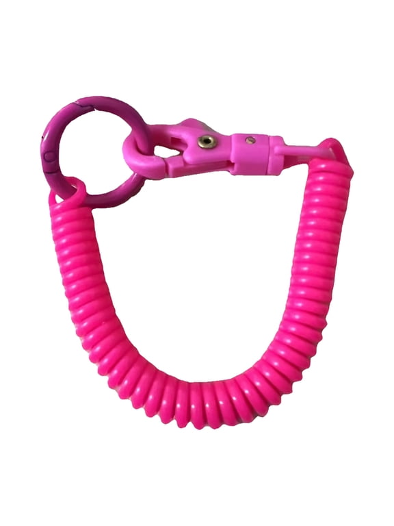 2026 New Retractable Keychain Alloy Key Holder Colors Key Chain for Backpack Stretchy Spirals Keyring Coil Spring Keychain for Keys, Backpack, Purse, Office