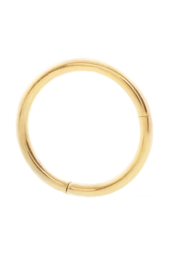 2026 New Seamless Hinged Segment Sleeper Clicker Ring Hoop Ear Lip Nose Septum Piercing Gold for Ear,Lip,Nose,Septum,Cartilage,Body,Fashion,Party,Casual,Gift