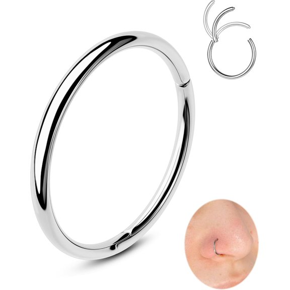 DESIGNICE 20G/16G Nose Rings Hoops,316L Surgical Steel Hinged Segment Nose Rings for Women Men,Septum Lip Rings,Cartilage Helix Daith Tragus Rook Conch Ear Lobe Piercing Jewelry