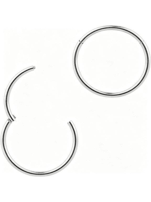 2Pcs 316L Surgical Steel 20G(Ultra Thin)Hinged Segment Ring 10Mm