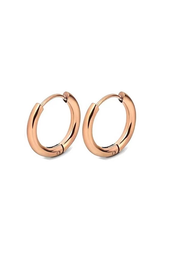 2Pcs Earrings,Comfortable Fit Helix Earrings,Skin-Friendly Steel Fashion-Forward Stud Earrings for Women,Style10
