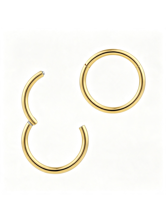 2Pcs G23 Titanium 16G (Classic Gauge) Hinged Segment Ring Hoop - Implant Grade Nickel Free Septum Nose Lip Tragus Earring Body Piercing Jewelry, 6Mm- 16Mm