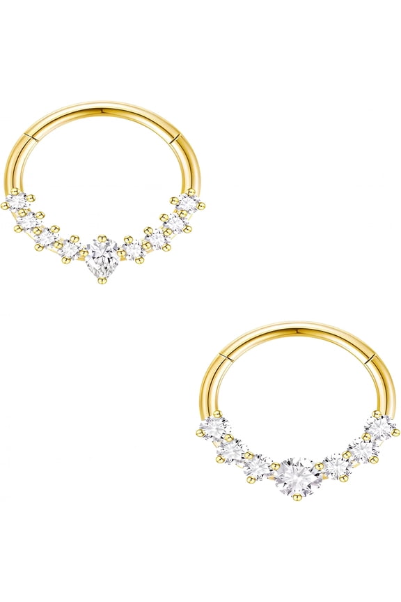 2Pcs Septum Rings 16G Daith Piercing Jewelry Hypoallergenic Stainless Steel Nose Rings Hoops Silver Gold Septum Clicker Jewelry 8Mm 10 Mm