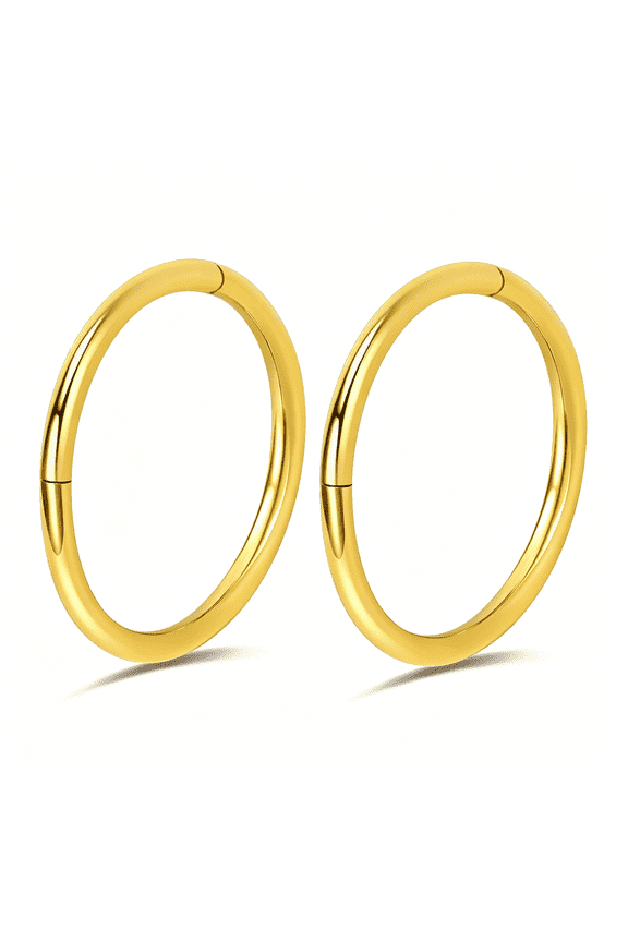 2Pcs Titanium Nose Rings 20G 18G 16G Nose Rings Hoops Diameter 5Mm to 12Mm Rose Gold-Black Cartilage Tragus Daith Rook Hoop Earrings Hinged Segment Septum Clicker Body Piercing Jewelry