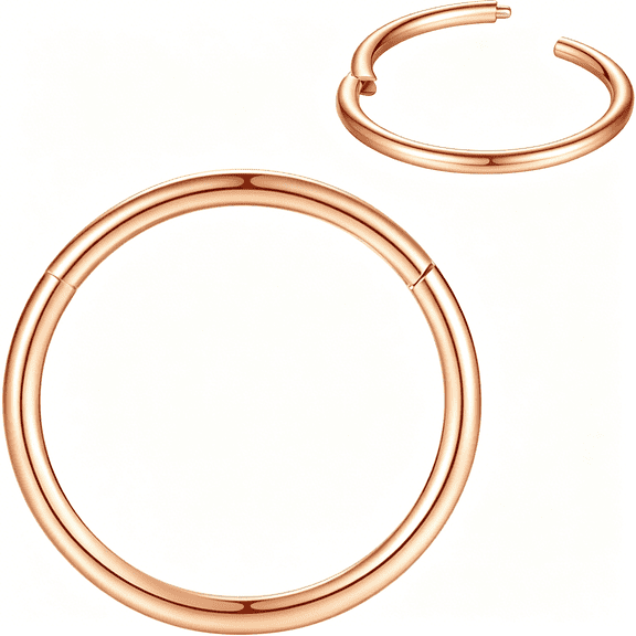 DESIGNICE 316L Surgical Steel Nose Rings Hoop Septum Clicker Hinged Segment Ring Lip Ear Piercing Earrings for Cartilage Helix Tragus Conch Rook 20G 18G 16G 14G 12G 10G 8G