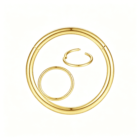 DESIGNICE 316L Surgical Steel Nose Rings Hoop Septum Clicker Hinged Segment Ring Lip Ear Piercing Earrings for Cartilage Helix Tragus Conch Rook 20G 18G 16G 14G 12G 10G 8G,Inner Diameter 5Mm to 22Mm