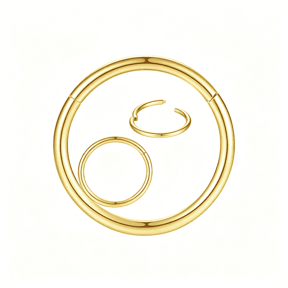 DESIGNICE 316L Surgical Steel Nose Rings Hoop Septum Clicker Hinged Segment Ring Lip Ear Piercing Earrings for Cartilage Helix Tragus Conch Rook 20G 18G 16G 14G 12G 10G 8G,Inner Diameter 5Mm to 22Mm