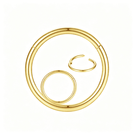 DESIGNICE 316L Surgical Steel Nose Rings Hoop Septum Clicker Hinged Segment Ring Lip Ear Piercing Earrings for Cartilage Helix Tragus Conch Rook 20G 18G 16G 14G 12G 10G 8G,Inner Diameter 5Mm to 22Mm