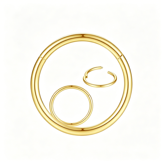 DESIGNICE 316L Surgical Steel Nose Rings Hoop Septum Clicker Hinged Segment Ring Lip Ear Piercing Earrings for Cartilage Helix Tragus Conch Rook 20G 18G 16G 14G 12G 10G 8G,Inner Diameter 5Mm to 22Mm