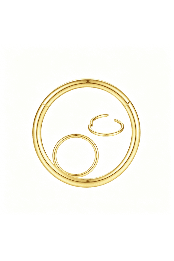 316L Surgical Steel Nose Rings Hoop Septum Clicker Hinged Segment Ring Lip Ear Piercing Earrings for Cartilage Helix Tragus Conch Rook 20G 18G 16G 14G 12G 10G 8G,Inner Diameter 5Mm to 22Mm