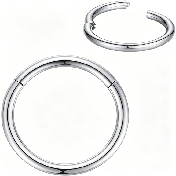 DESIGNICE 316L Surgical Steel Nose Rings Hoop Septum Clicker Hinged Segment Ring Lip Ear Piercing Earrings for Cartilage Helix Tragus Conch Rook 20G 18G 16G 14G 12G 10G 8G,Inner Diameter 5Mm to 22Mm