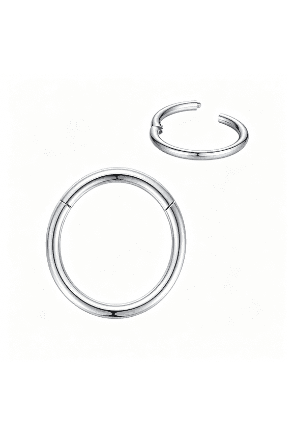 316L Surgical Steel Nose Rings Hoop Septum Clicker Hinged Segment Ring Lip Ear Piercing Earrings for Cartilage Helix Tragus Conch Rook 20g 18g 16g 14g 12g 10g 8g,Inner Diameter 5mm to 22mm