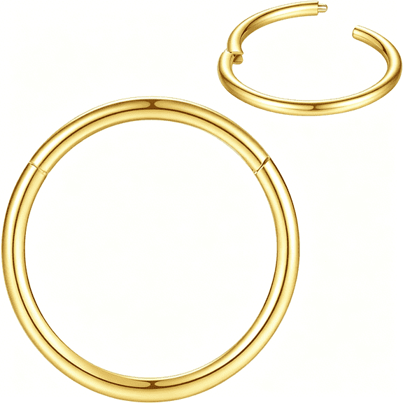 DESIGNICE 316L Surgical Steel Nose Rings Hoop Septum Clicker Hinged Segment Ring Lip Ear Piercing Earrings for Cartilage Helix Tragus Conch Rook 20g 18g 16g 14g 12g 10g 8g,Inner Diameter 5mm to 22mm