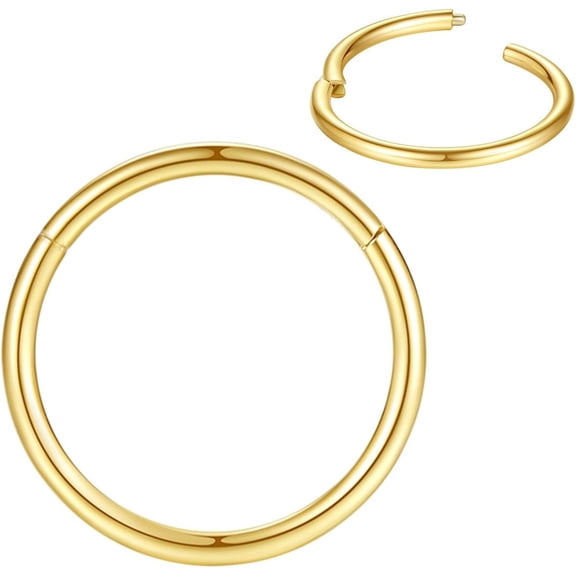 DESIGNICE 316L Surgical Steel Nose Rings Hoop Septum Clicker Hinged Segment Ring Lip Ear Piercing Earrings for Cartilage HelixTragus Conch Rook 20g 18g 16g 14g 12g 10g 8g,Inner Diameter 5mm to 22mm