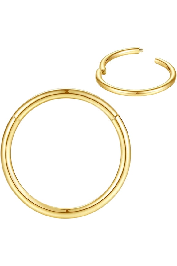 316L Surgical Steel Nose Rings Hoop Septum Clicker Hinged Segment Ring Lip Ear Piercing Earrings for Cartilage HelixTragus Conch Rook 20g 18g 16g 14g 12g 10g 8g,Inner Diameter 5mm to 22mm