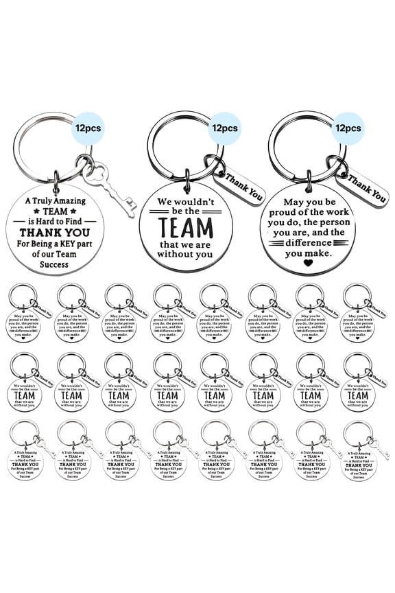 36Pcs Employee Appreciation Gifts Bulk,Titanium Steel Keychains Gifts Thank You Gifts,Team Gifts for Employees Coworkers Caregivers Staff,Silver