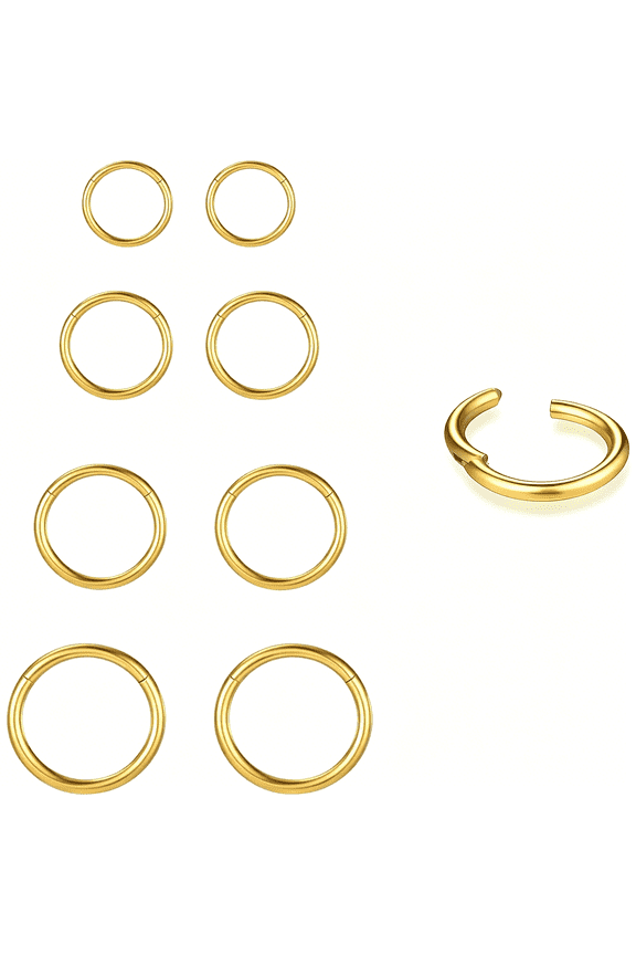 4/8Pcs 20G18G16G Nose Rings Hoops Surgical Steel Nose Ring Seamless Hinged Clicker Segment Septum Lip Rings Conch Tragus Cartilage Daith Rook Piercing for Women