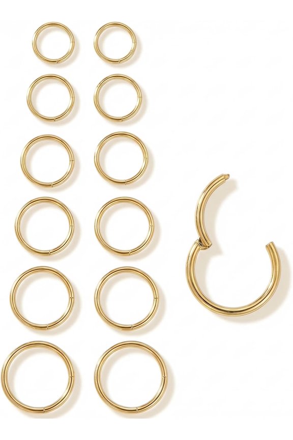 6Pairs Nose Rings Hoops-316L Surgical Steel Hinged Nose Hoops 16G/18G/20G Clicker Septum Nose Ring Lip Helix Cartilage Hoop Earring Daith Rook Conch Body Piercing Jewelry for Women Men