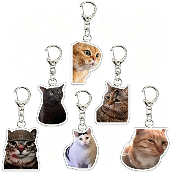 DESIGNICE 8Pcs Cat Keychain Cute Cat Meme Keychains Two Cats Talking Keyring Kawaii Charm Keychain Funny Gift for Friend,Multi,Cute Keychains One Size
