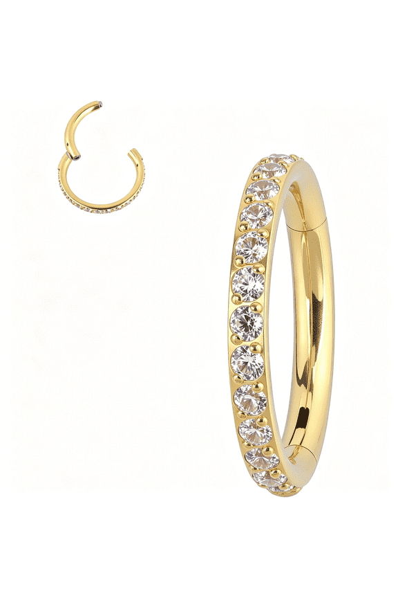Crystal Pave Hinged Segment Nose Ring,Titanium F136,Cartilage Hoop Earring,Multi-Purpose,1Pc