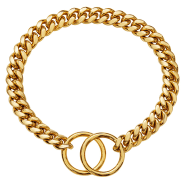 DESIGNICE Dog Collar Rendy and Chic Small Dog Collar Vibrant Shiny Appearance Dog Chain Collars,Gold