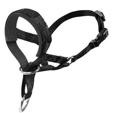 DESIGNICE Dog Leash Effective Training tool No Pull Dog Collar Comfortable Fit Reflective Dog Collar,Black