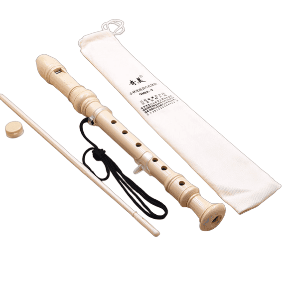 DESIGNICE Flute,Compact Flute Instrument,Portable Design Tin Whistle,Style 2