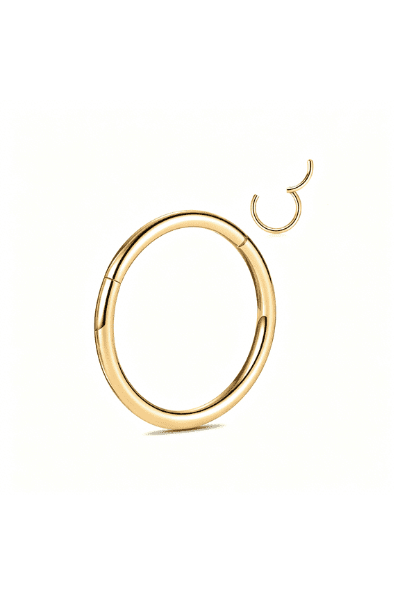 G23 Titanium Nose Hoop Rings Septum Clicker Ring Seamless Segment Clicker Ring Conch Piercing Jewelry Cartilag Helix Tragus Lip Lobe Earrings