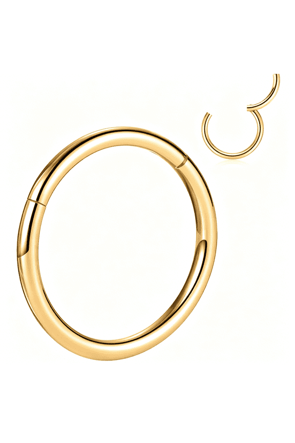G23 Titanium Nose Hoop Rings Septum Clicker Ring Seamless Segment Clicker Ring Conch Piercing Jewelry Cartilag Helix Tragus Lip Lobe Earrings