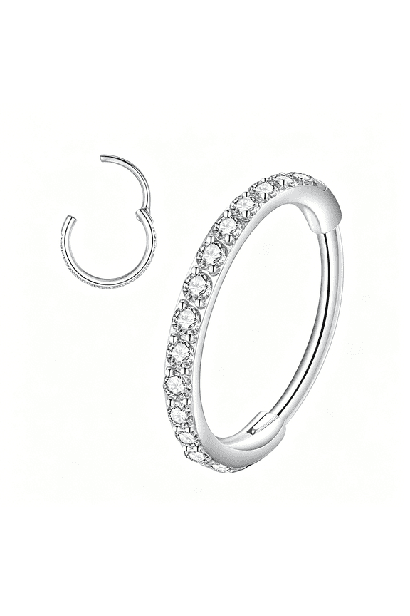 Hinged Segment Nose Rings Hoop 316L Surgical Steel Cubic Zirconia Conch Daith Helix Tragus Body Piercing Jewelry Lip Rings Cartilage Earrings 20G 18G 16G Stainless Steel Septum Clicker Ring
