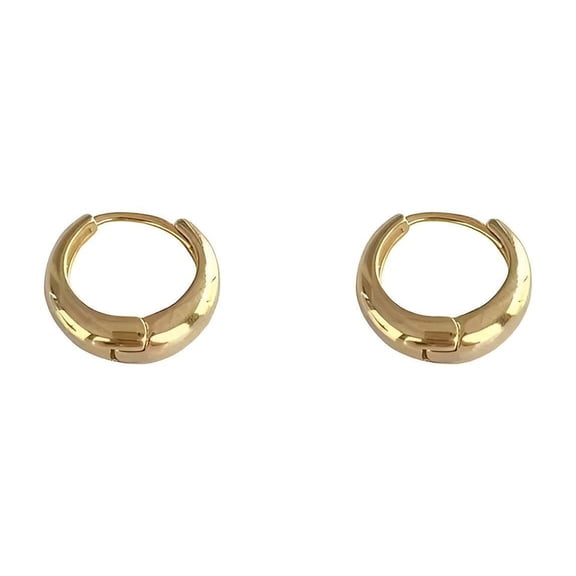 DESIGNICE Earrings for Women,Gold Jewelry for Women,Stainless Steel Big Earrings for Women