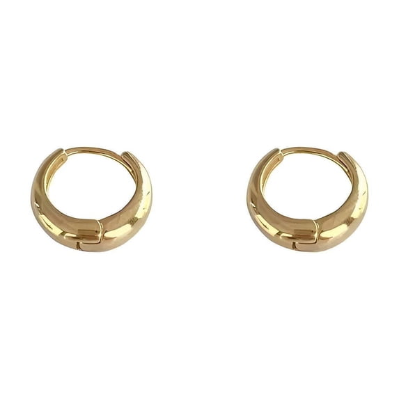 DESIGNICE Earrings for Women,Gold Jewelry for Women,Stainless Steel Big Earrings for Women