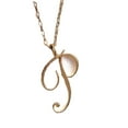 thumbnail image 1 of DESIGNICE Initial Necklaces for Women,Elegant Silver Initial Necklace,Chic Dainty Necklace,Simple Custom Initial Necklace for a Timeless Look,P, 1 of 2