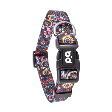 DESIGNICE Light Up Dog Collar Stylish & Safe Choice Dog Light Up Collar Reflective Safety Glow In The Dark Dog Collar,Style1