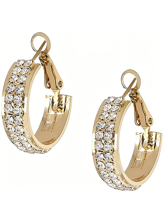 Lymphatic Activity Hoop Earrings Lymphatic Drainage Hoop Earrings for Women Lymphvity Germanium Earrings Lymphatic Earrings Cubic Zirconia Earrings Jewelry