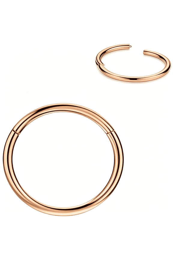 Men Women 316L Surgical Steel Hinged Nose Rings Hoop for Nostril Septum Cartilage Helix Daith Tragus Rook Conch Lip Ear Lobe Piercings